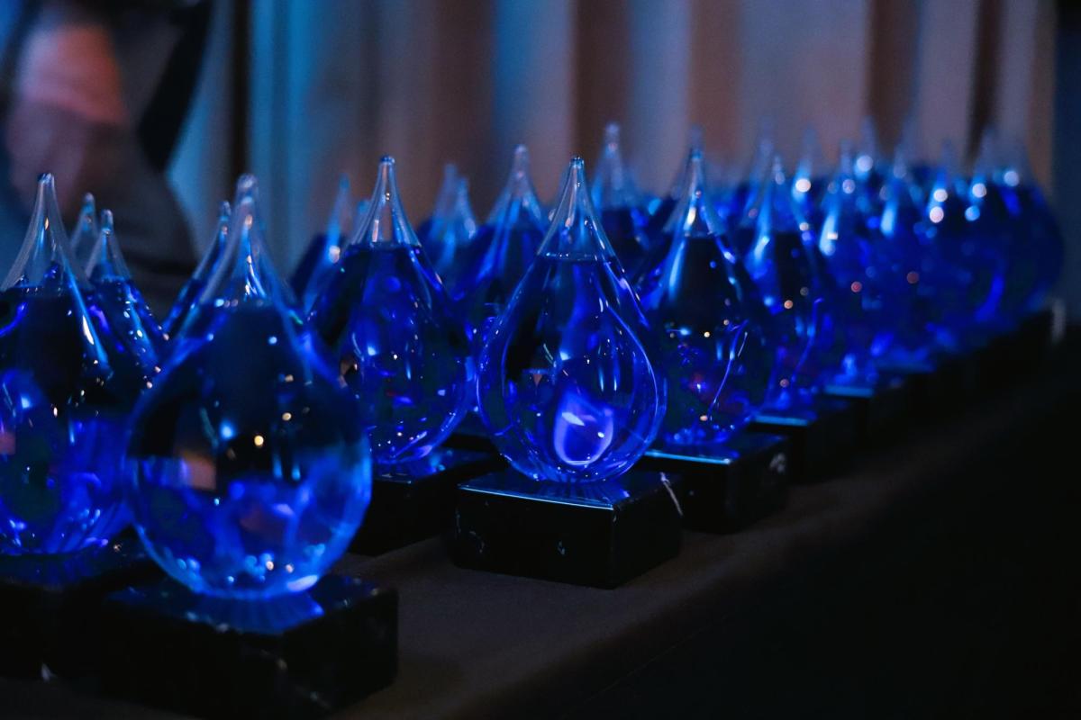 De Splash Award trofeeen gepresenteerd op een tafel